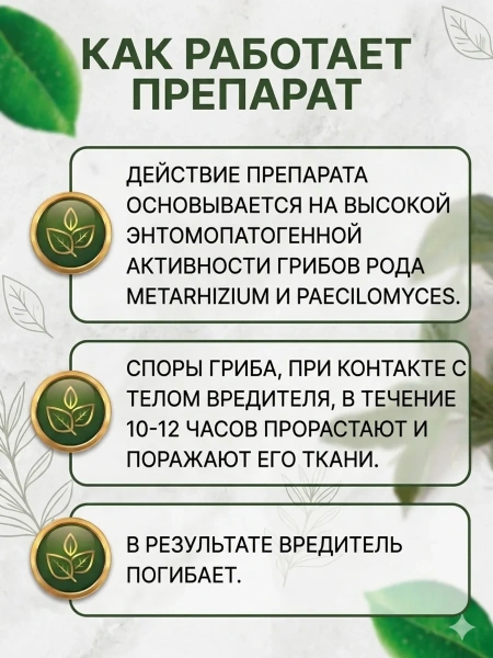Биоинсектицид Пециломицин РМ116 для борьбы с почвенными вредителями 100 гр не водорастворимая форма Благодатное земледелие